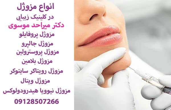 انواع مزوژل