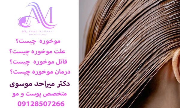 موخوره چیست