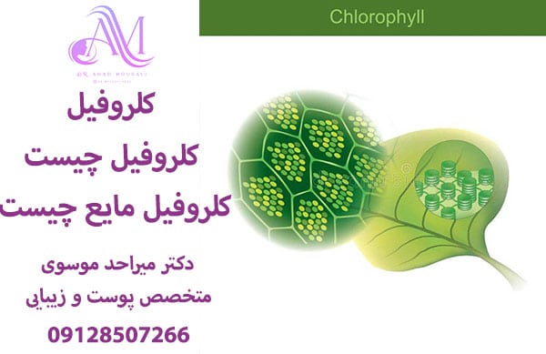 کلروفیل چیست